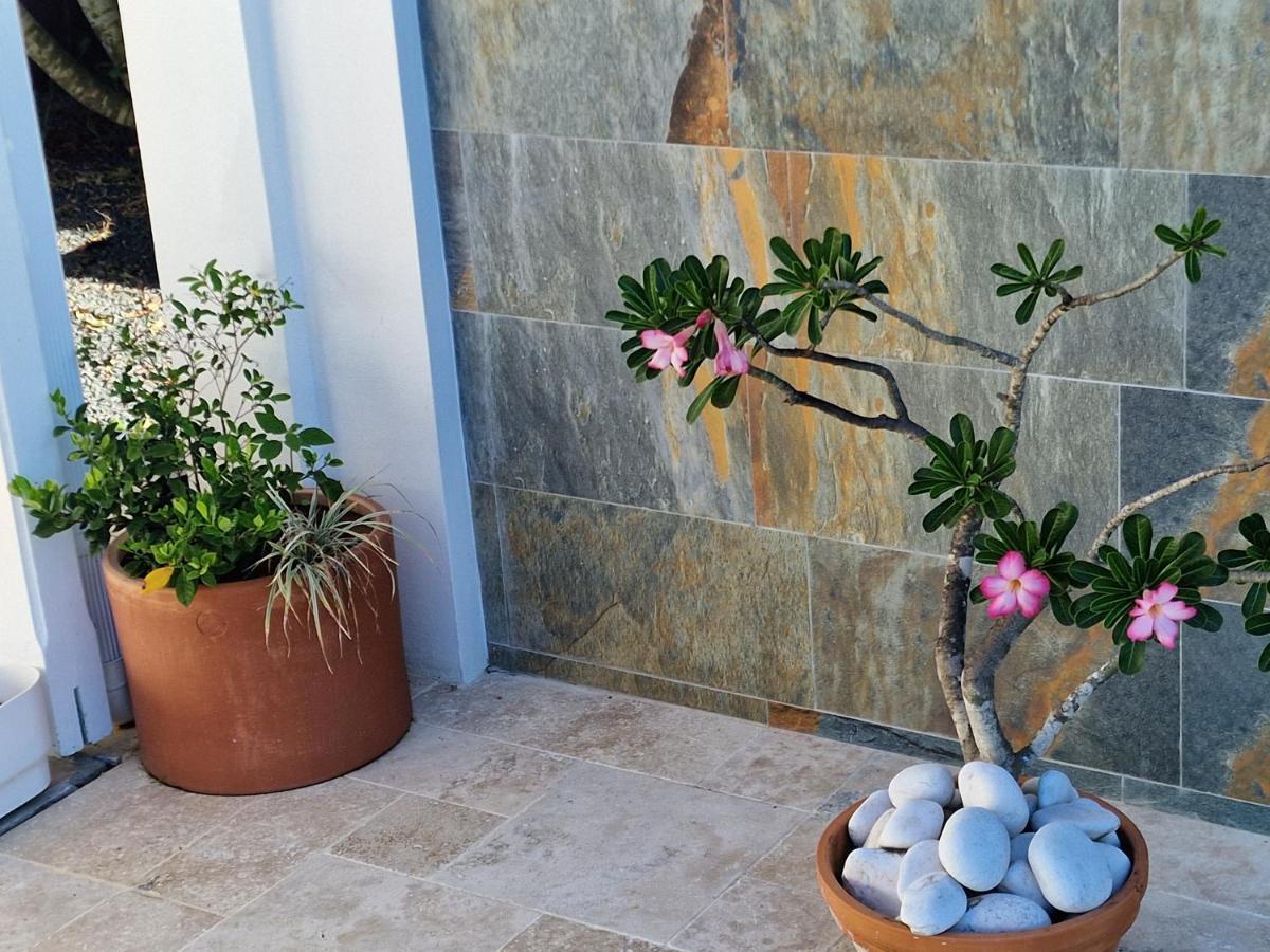 Appartements De Luxe . Propriete De Luxe Baie-Mahault Kültér fotó